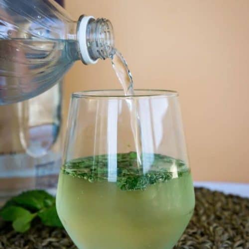 Low Carb Mojito | Fresh Mint And Sugar Free! - KetoConnect