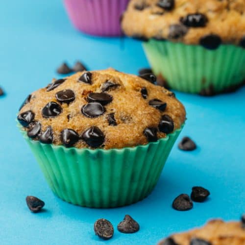 Keto Chocolate Chip Muffins | One Bowl Recipe! - KetoConnect