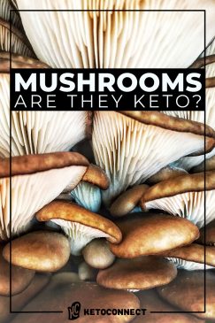 Are Mushrooms Keto? How Many Can You Have? - KetoConnect