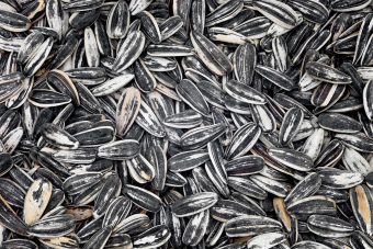 Are Sunflower Seeds Keto Friendly? - KetoConnect